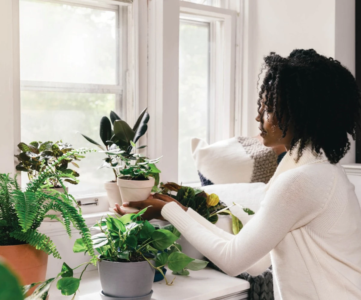 Een krant onder je plantenpot: waarom tuinders dit altijd doen - image 2