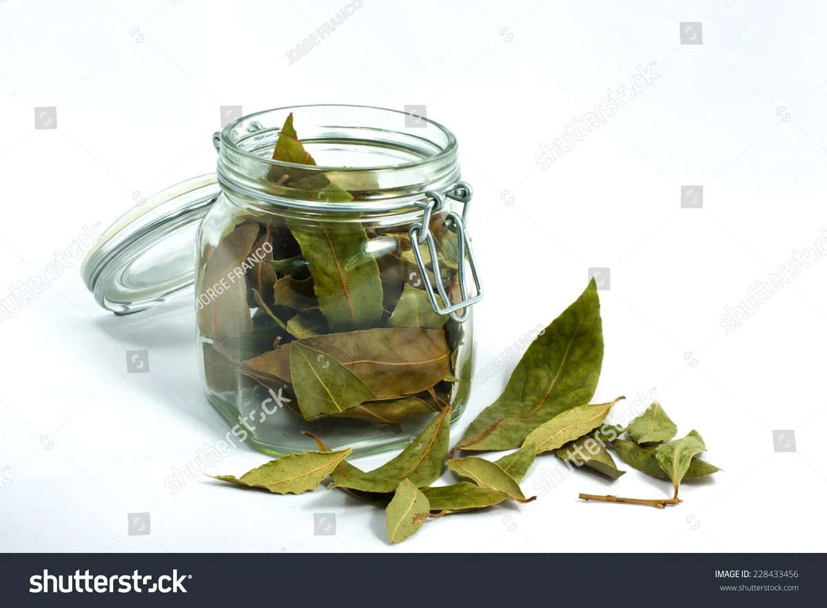 Een laurierblad in je bloem: het eeuwenoude geheim tegen voedselmoffen - image 1