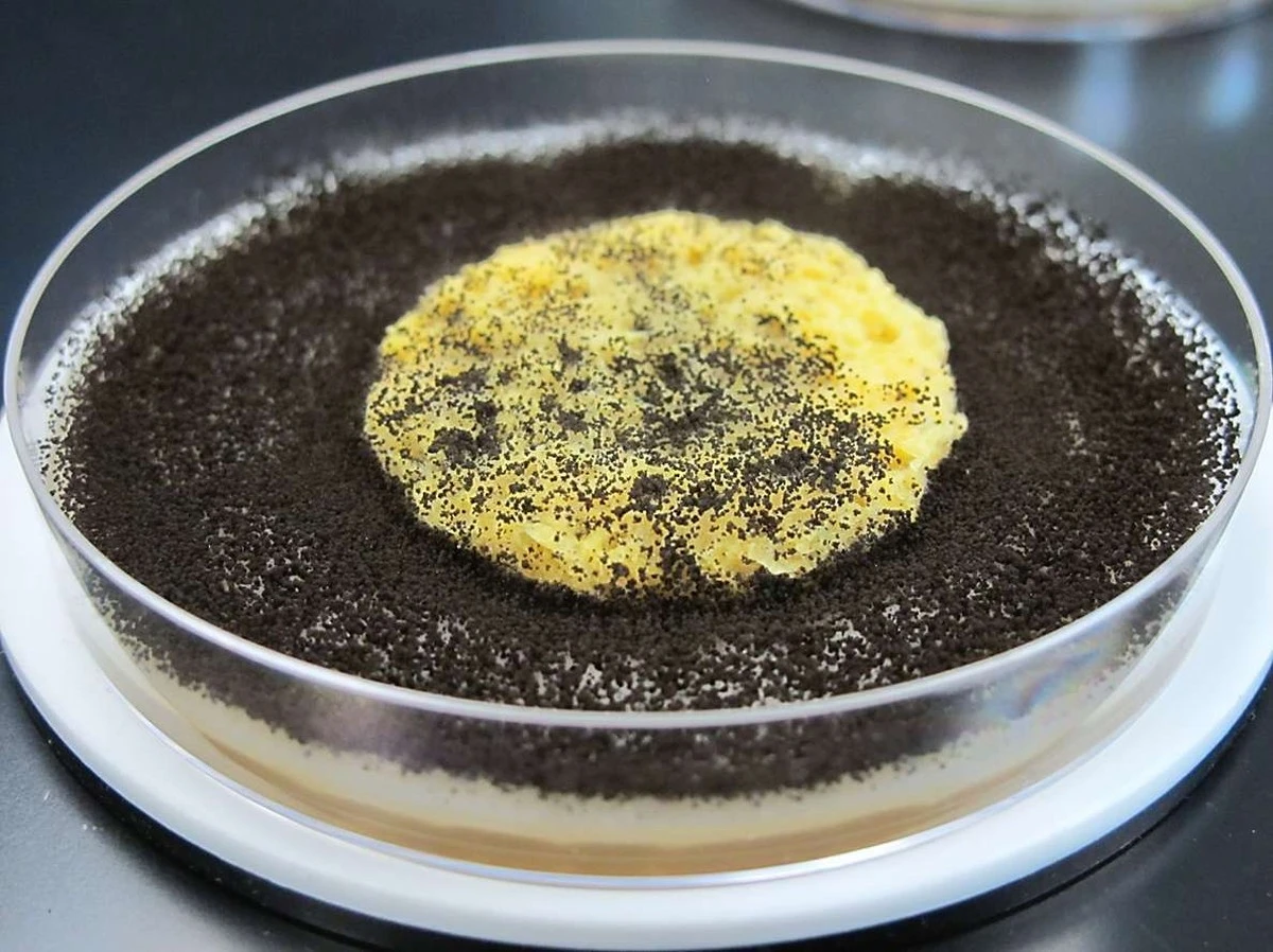 Zout op een vochtige spons: de schoonmaaktrick die schimmel voorgoed verdrijft - image 1