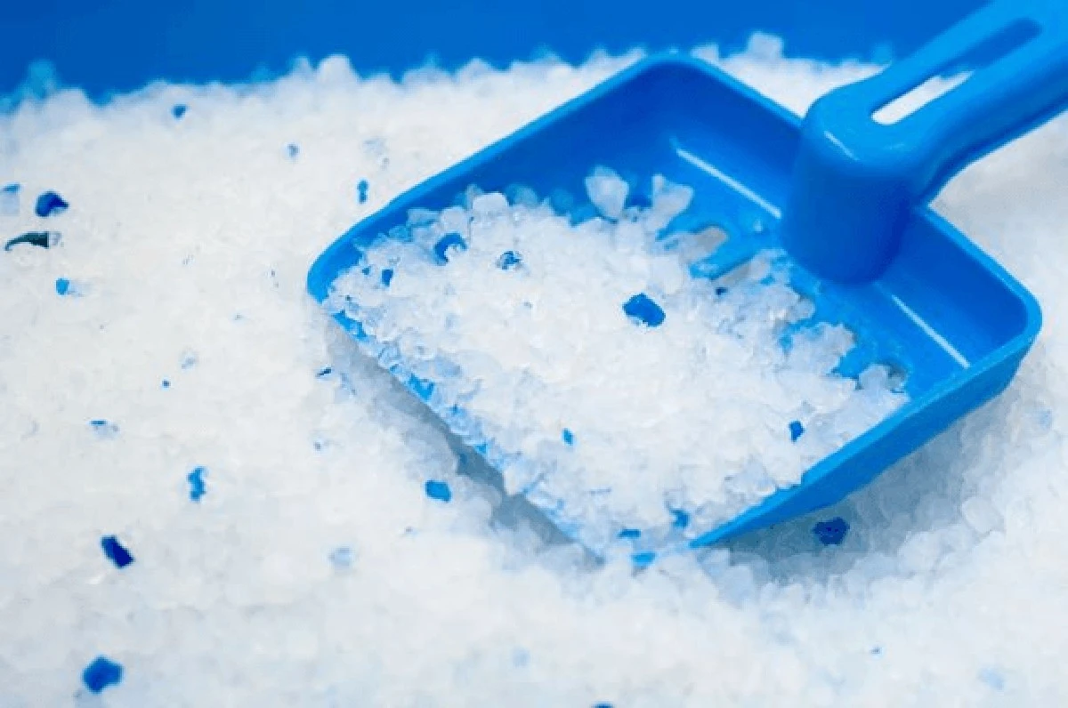 Zand in je kattenbak vervangen door dit? Je huis ruikt voorgoed beter - image 1