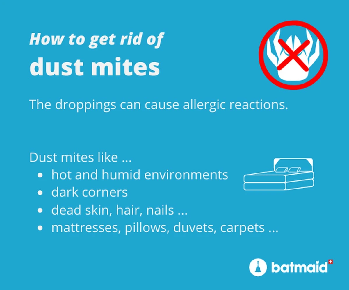 Bakingsoda op je matras: het geheim tegen stofmijten dat hotels gebruiken - image 2