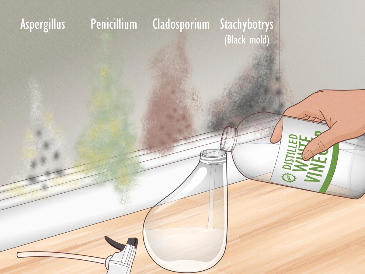 Druppels azijn op je raamkozijn: hoe je schimmel voorgoed verslaat - image 1