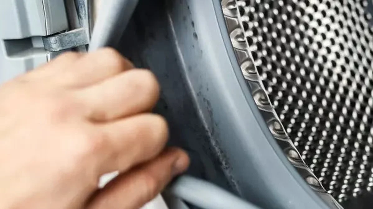 Azijn in je wasmachine: waarom dit vet en schimmel elimineren - image 2