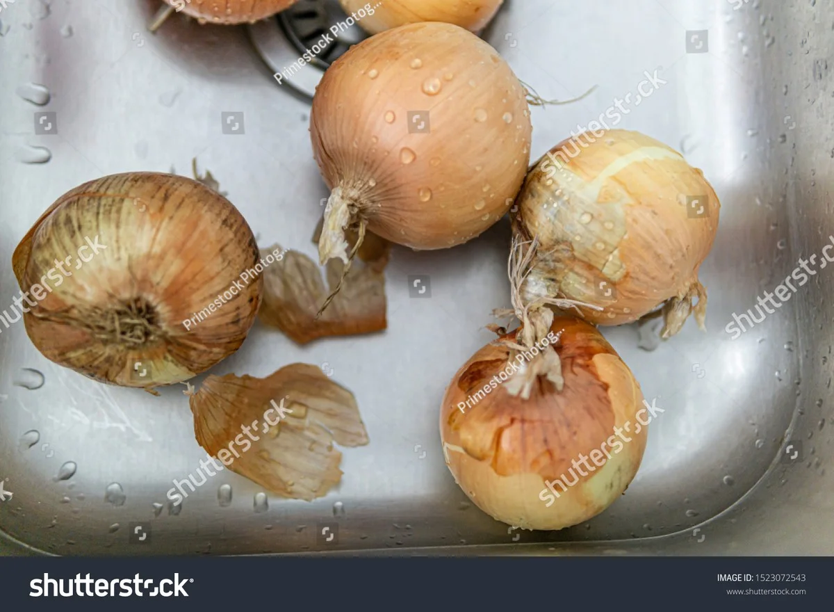 Een ui in je afvoer: de vochtbestrijding die je sanitair beschermt