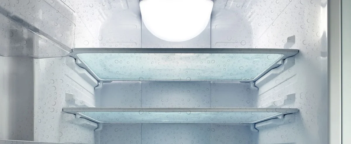 Droogkost in je koelkast: hoe rijst je vochtproblemen oplost