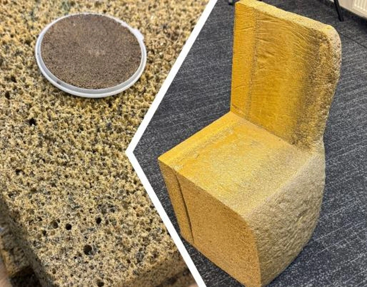 Koffiedik achter je radiator: waarom dit je energierekening halveren kan - image 1