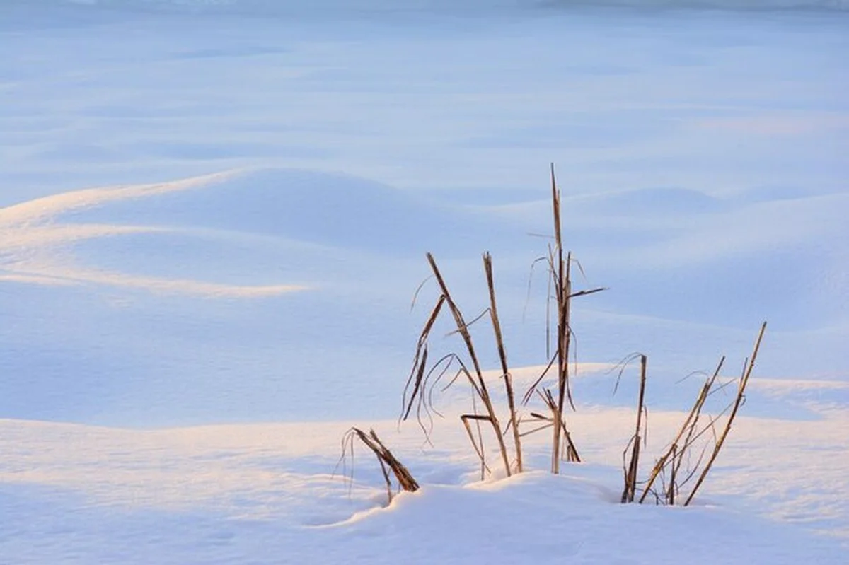 December is het moment om al met tuinieren te beginnen
