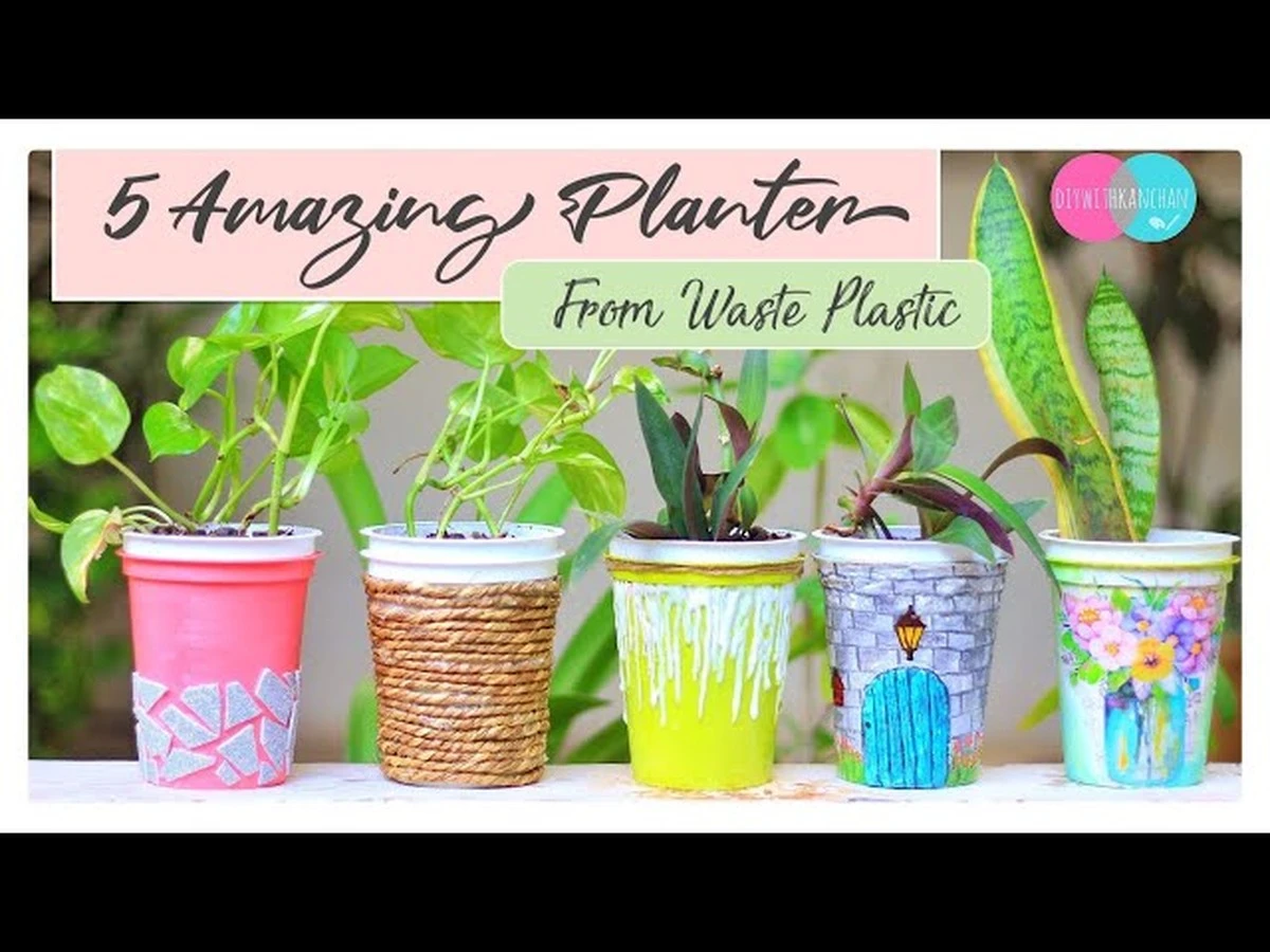 Oude koffiefilters als plantenpotjes: waarom tuincentra dit haten - image 1