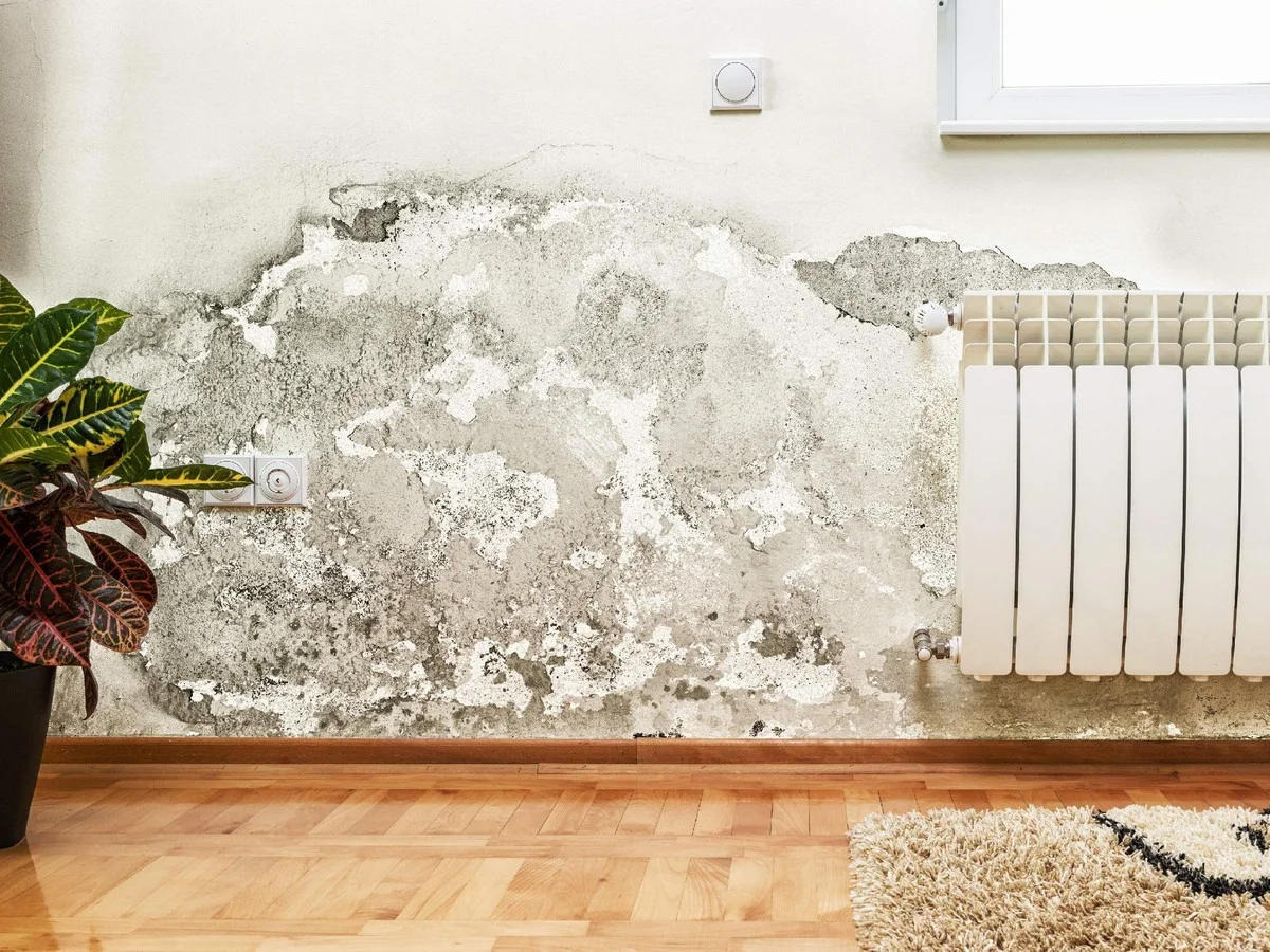 Zout op een vochtige muur: het Hollandse geheim tegen vochtproblemen