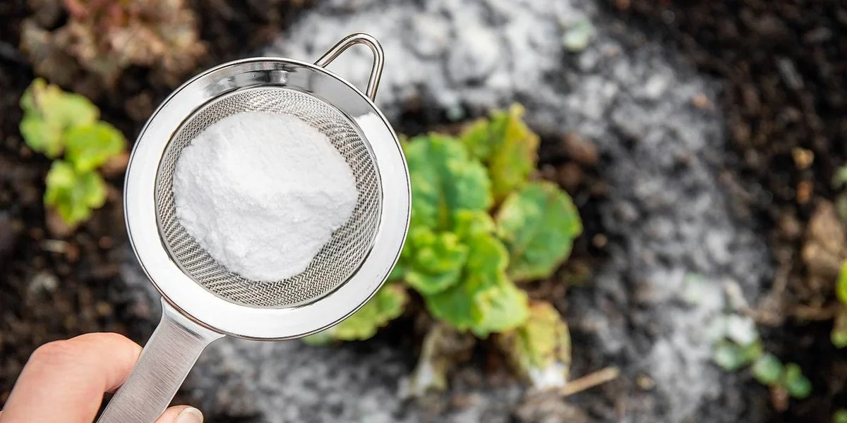 Zout en baking soda op je matras: wat gebeurt er na 24 uur zal je verbazen - image 2