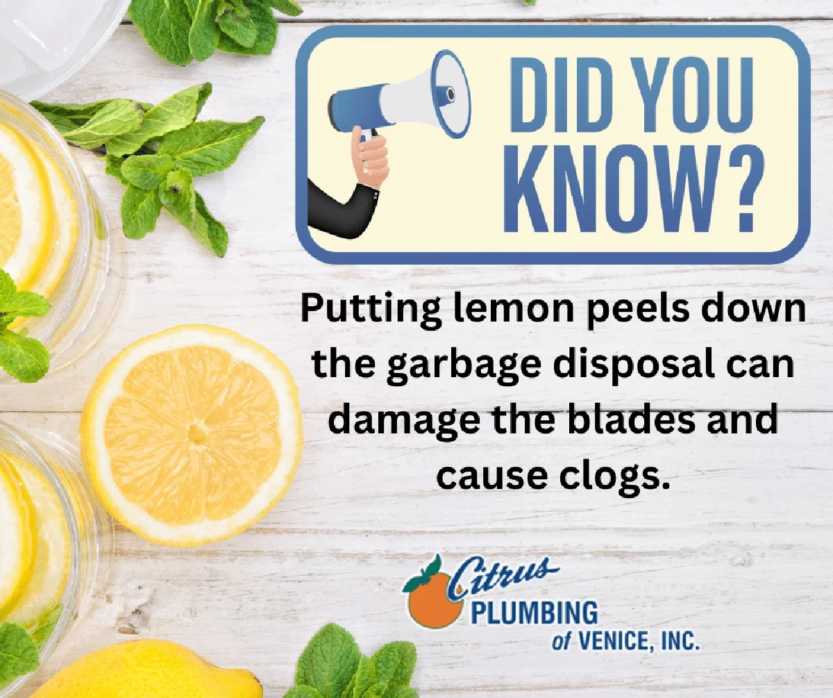 Citroenschil in je afvoer: het natuurlijke wonder tegen vieze geuren