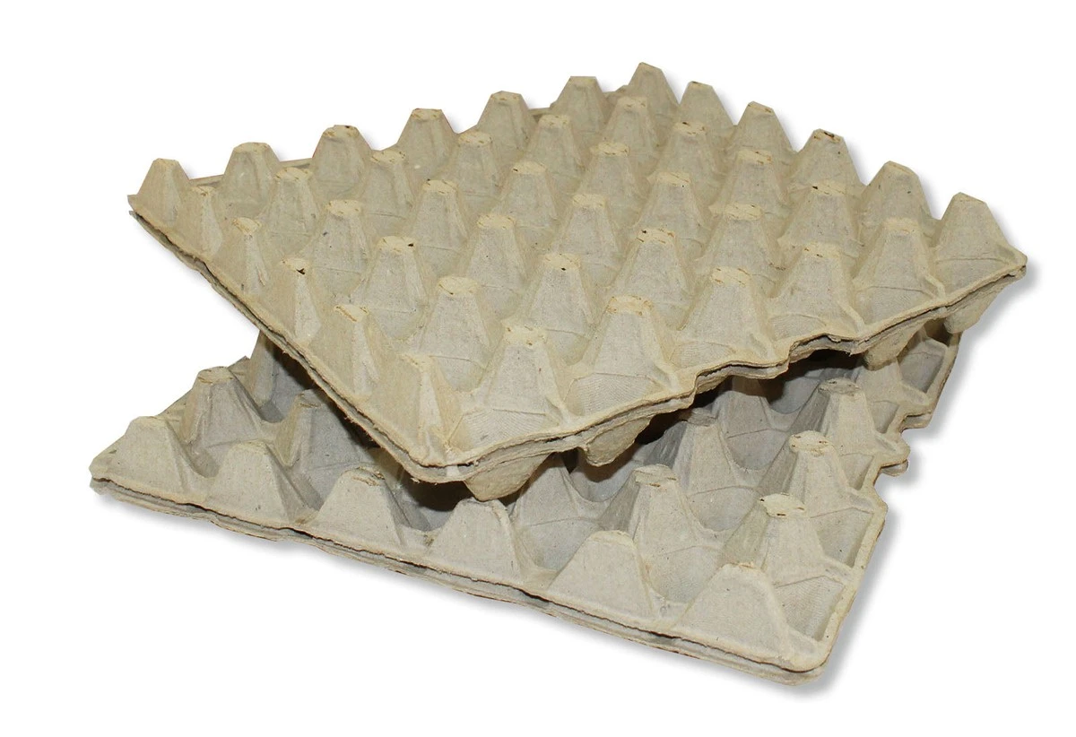 Kartonnen eierdoos in je koelkast: de geheime oplossing tegen vocht - image 1