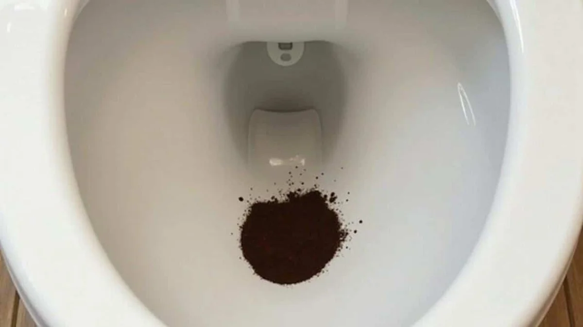 Koffiedik tegen schimmels in je badkamer: de 3-daagse test