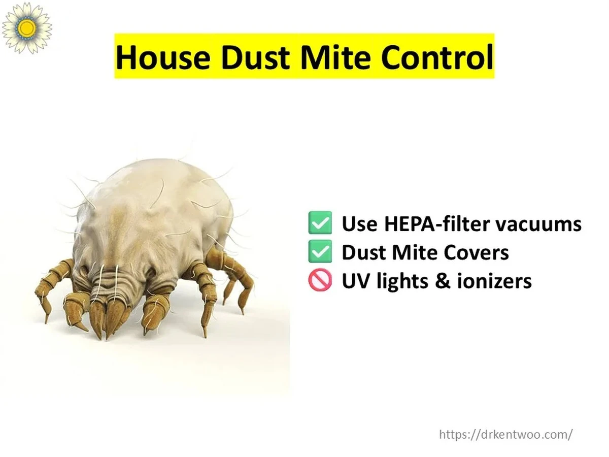 Zout op je matras: de 10-minuten truc tegen stofmijten - image 1