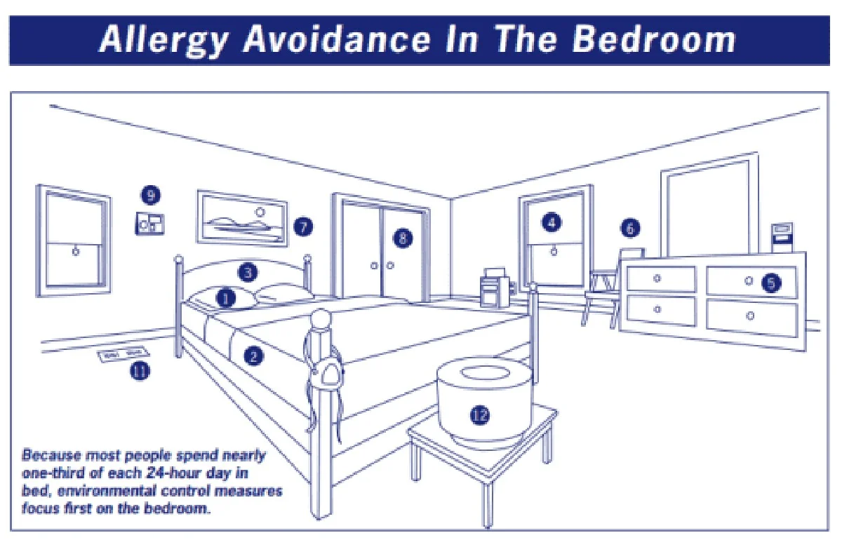 Zout op je matras strooien: het geheim tegen stofmijten die je niet ziet - image 2