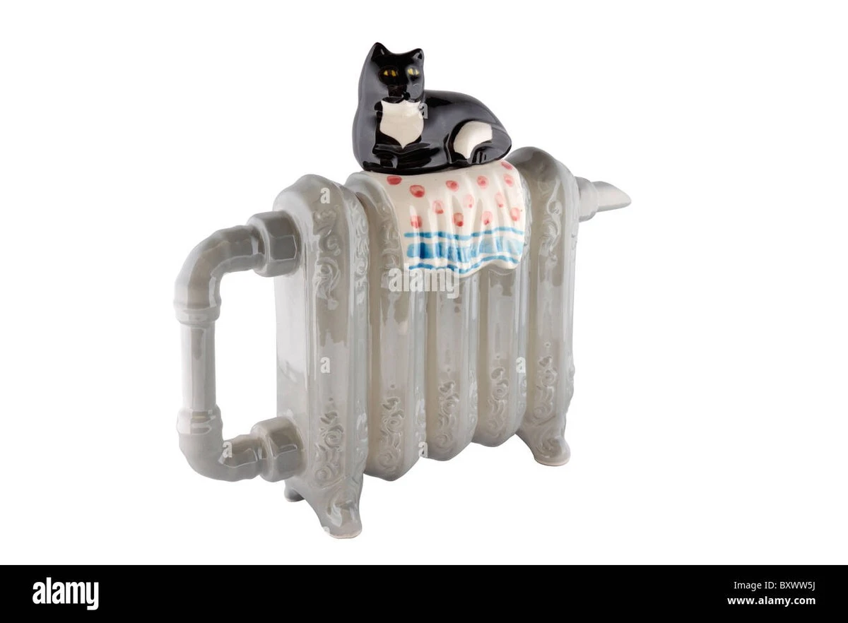 Loodgieters onthullen: waarom je nooit theepotten op je radiator zet