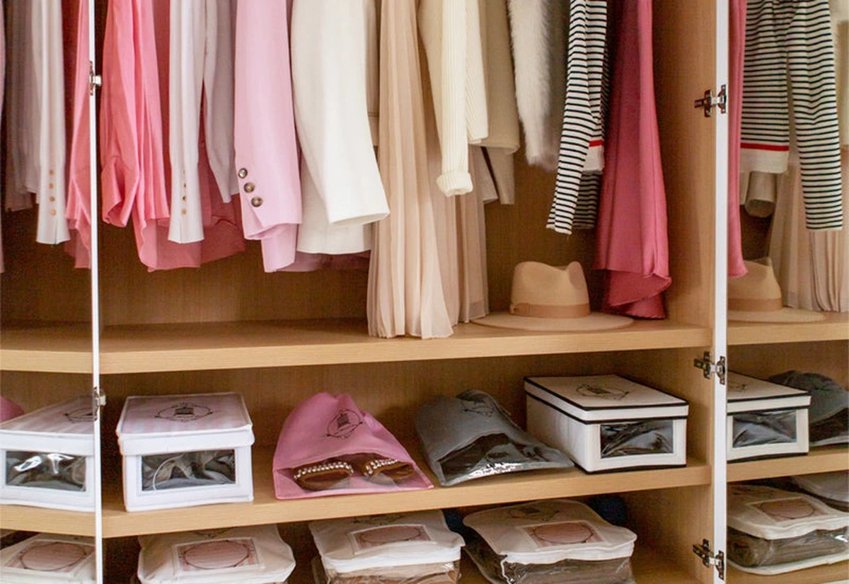 Kastanjes in je kasten leggen: waarom insecten massaal verdwijnen - image 2