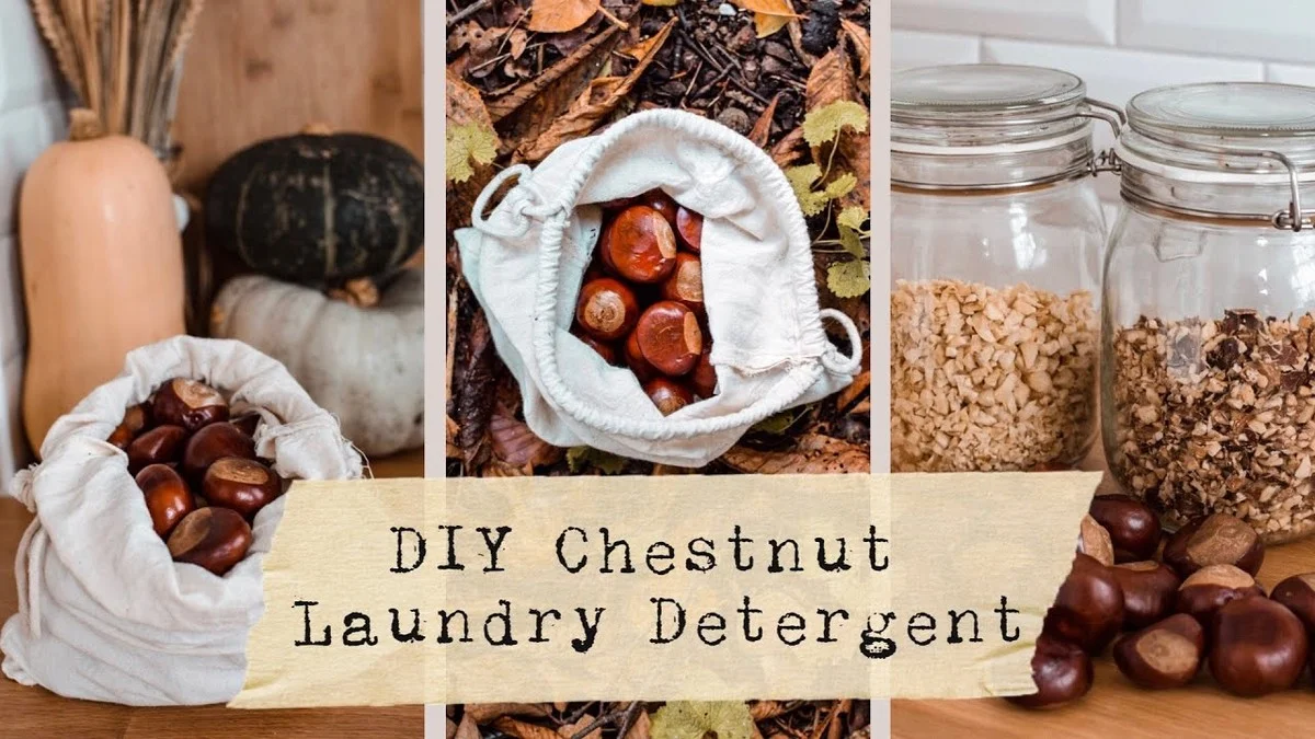 Een kastanjedop in je wasmand: waarom Duitse huisvrouwen dit doen