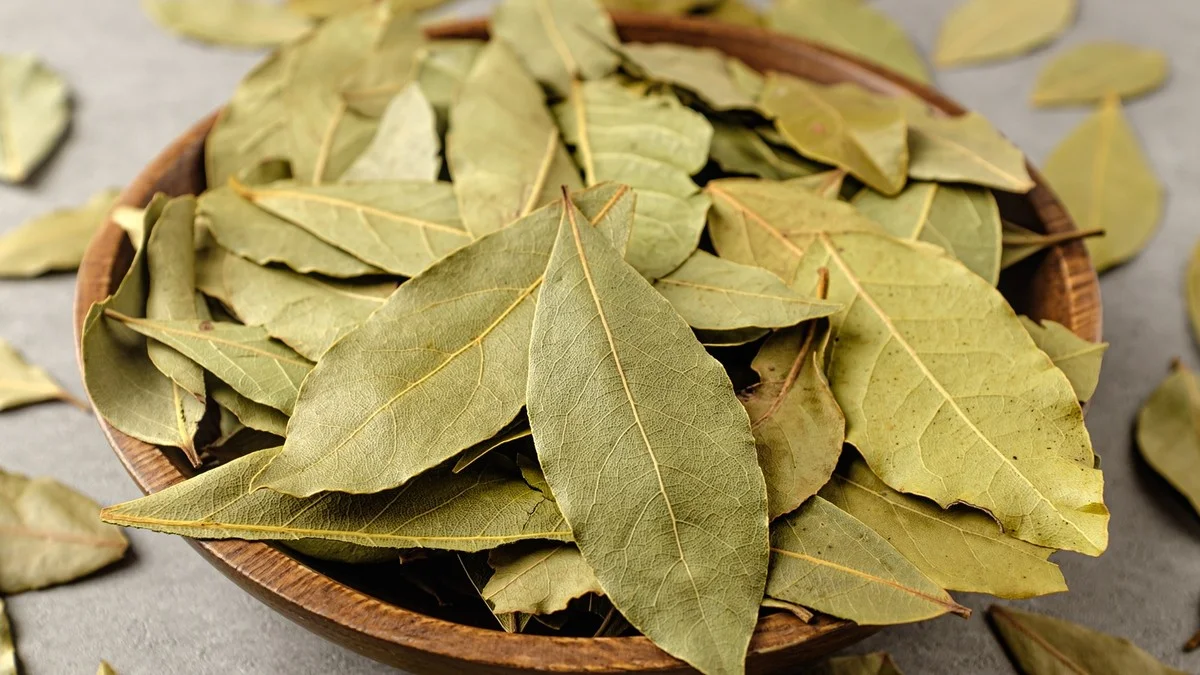 Een laurierblad in je bloem: het eeuwenoude trucje tegen voorraadplaagdieren