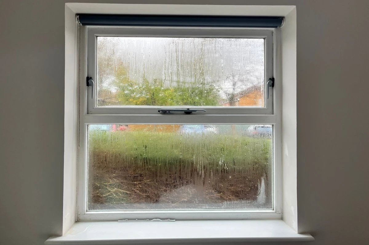 Theezakjes voor je ramen – het anti-condens trucje dat huiseigenaren verbergen - image 1