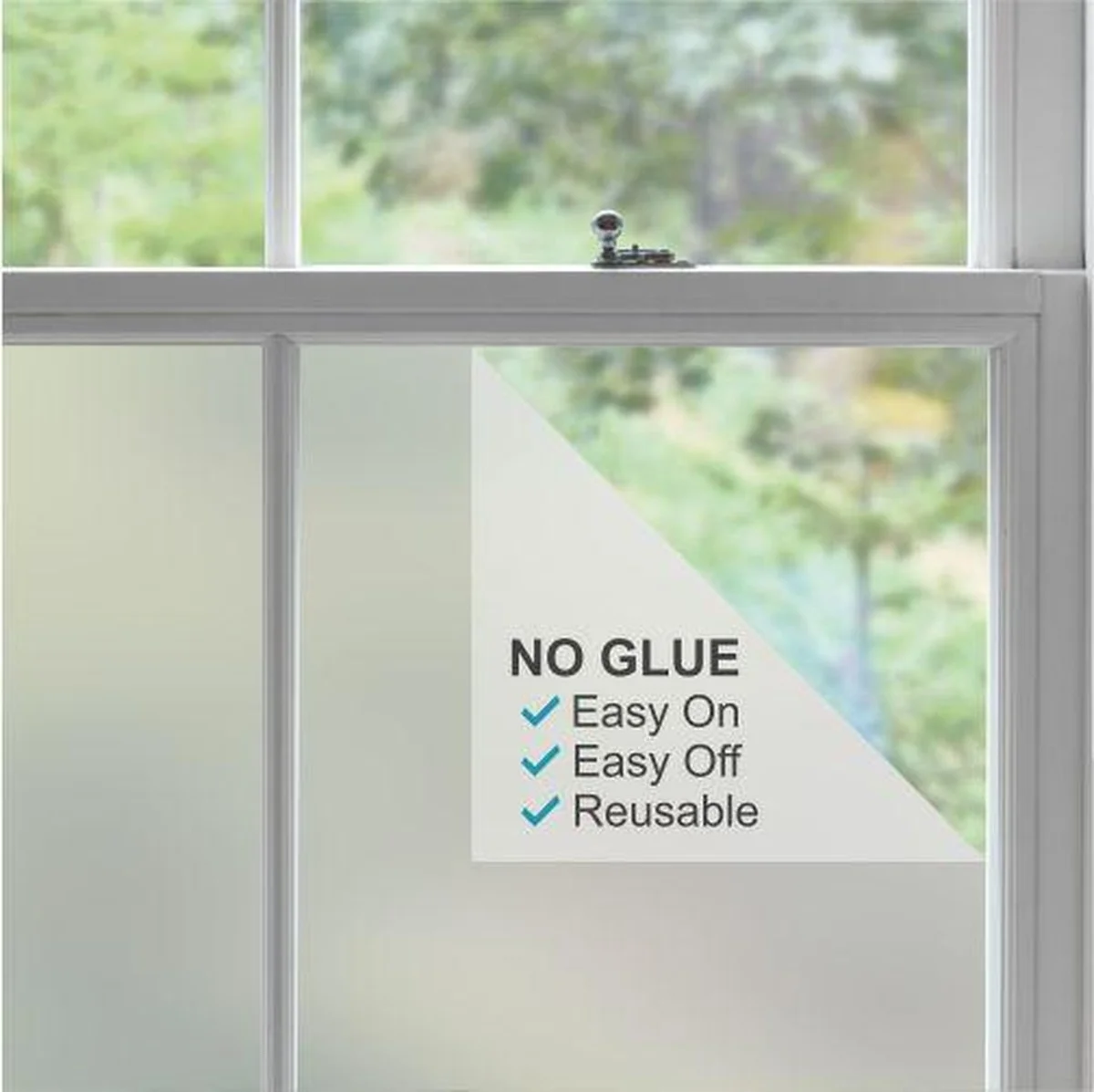 Zalffolie om je ramen: de 5-minuten truc tegen condensatie - image 2