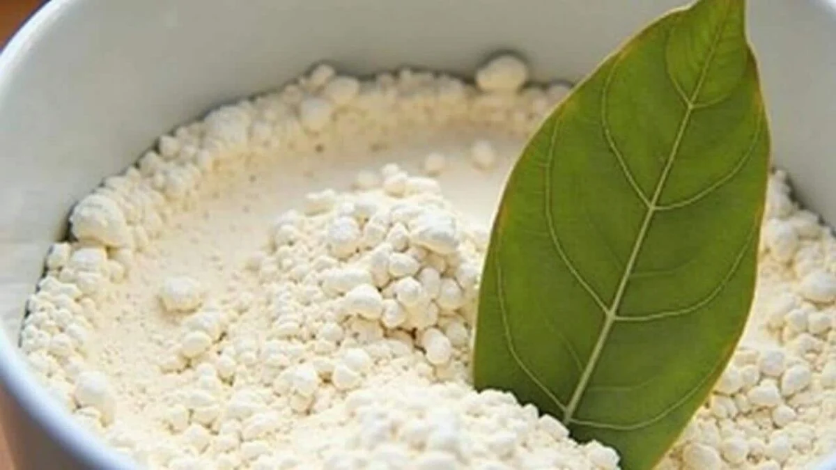 Laurierblad in je bloem: het eeuwenoude geheim tegen voedselmotor