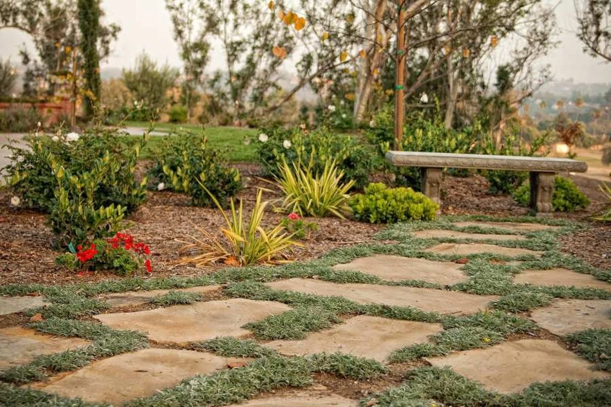Witte wijn op voetstukken: hoe je buiten moeiteloos steengroeven schoonmaakt - image 1