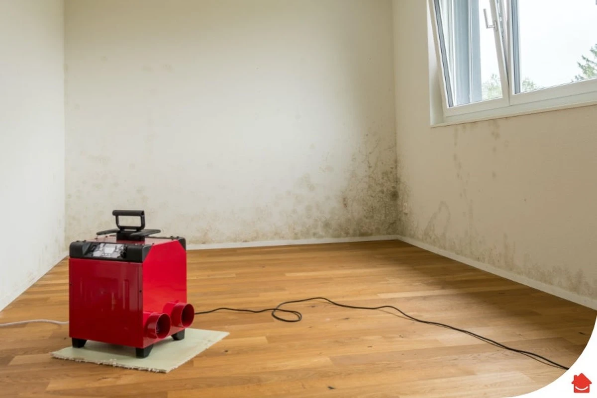 Koffiedik tegen natte geur in je kamer: de simpele oplossing die werkt - image 2