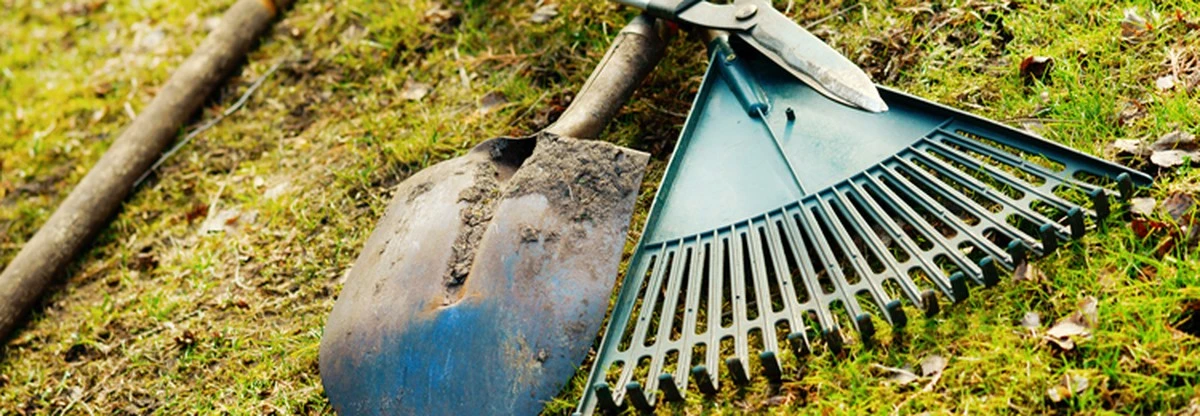 Oude tandenborstel voor je tuin: de schoonmaaktrick van tuinders - image 2