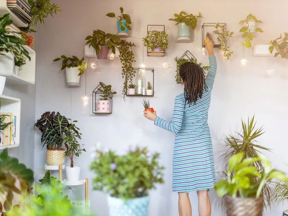 Een tandenstoker in je plantenpot: waarom tuiniers dit elke dag doen - image 2